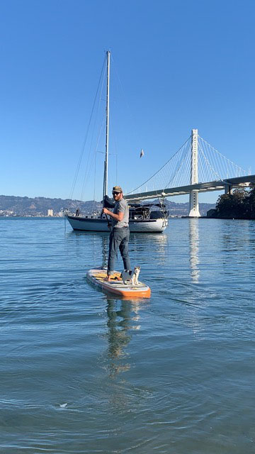 Paddle Boardings