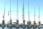 Colorado - Carter Lake Sailing Club's First Summer Sailstice