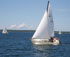 Barrachois Harbour Yacht Club Wraps Up Summer Sailstice