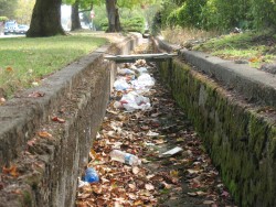 California sailors accused of littering?