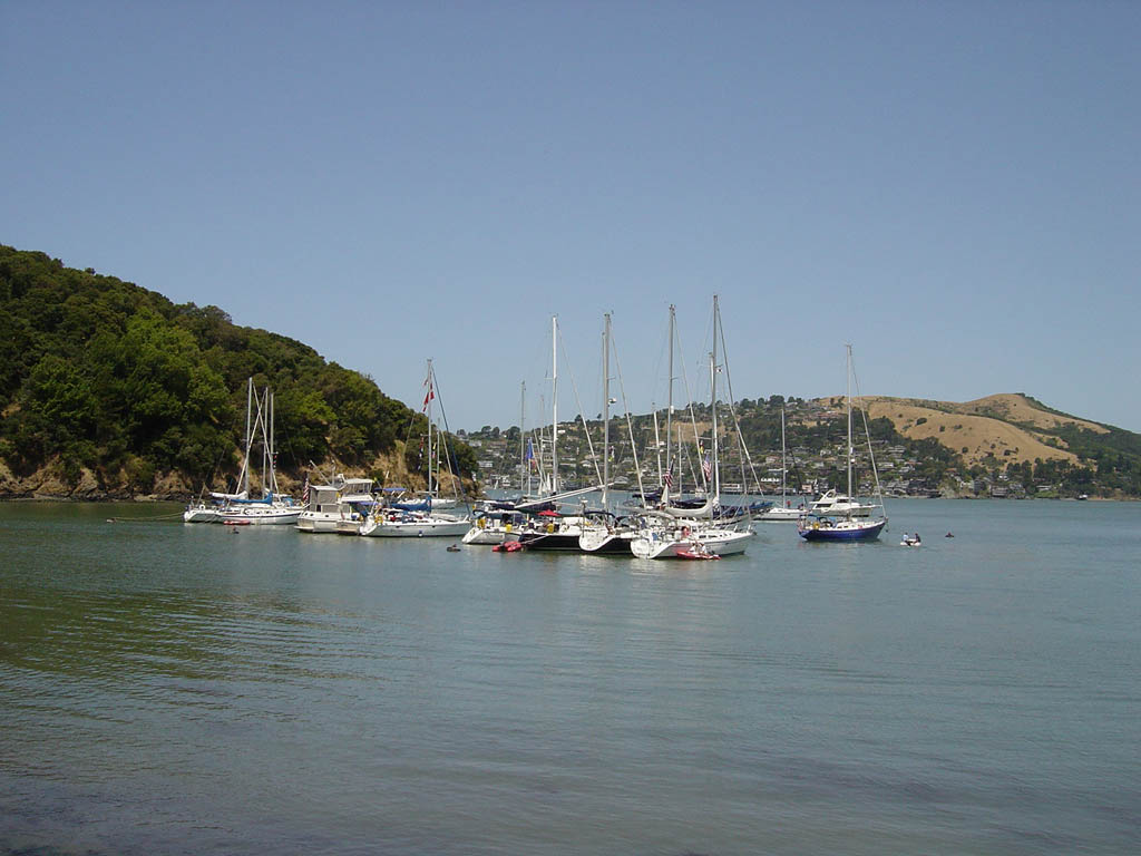 Encinal Yacht Club Celebration takes the cake!