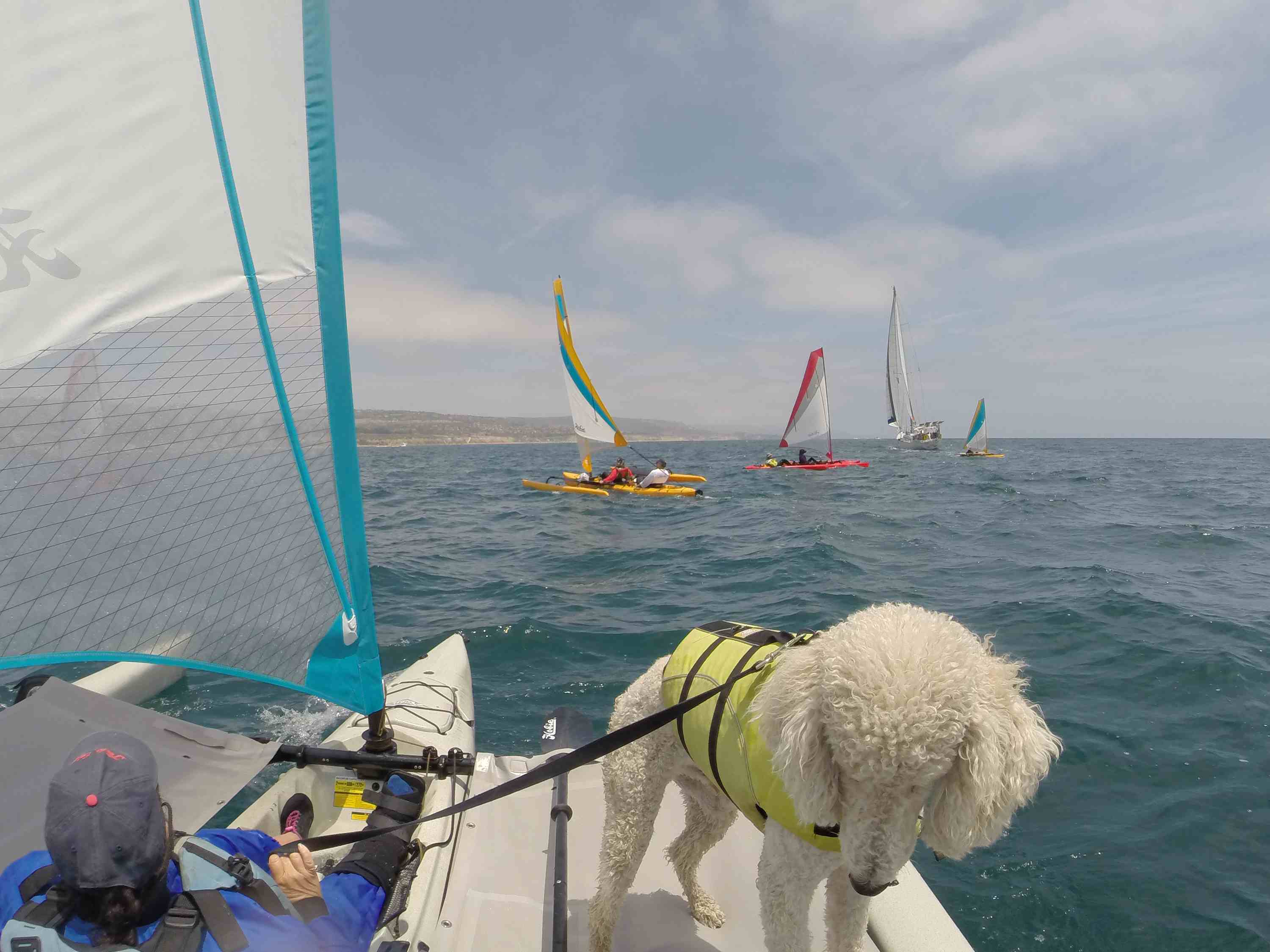 Hobie Islands Celebrate Summer Sailstice