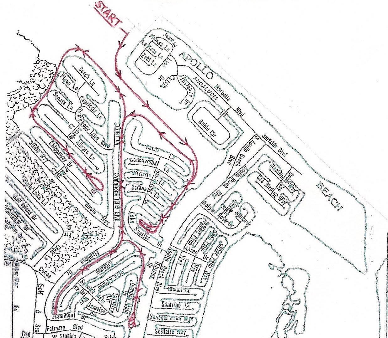 Tampa SS Parade route