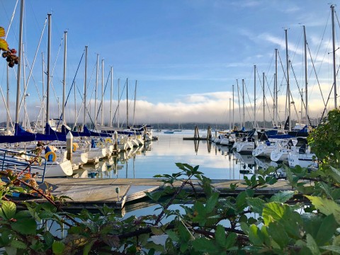 Modern Sailing Fleet