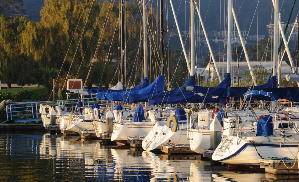 Modern Sailing Boats