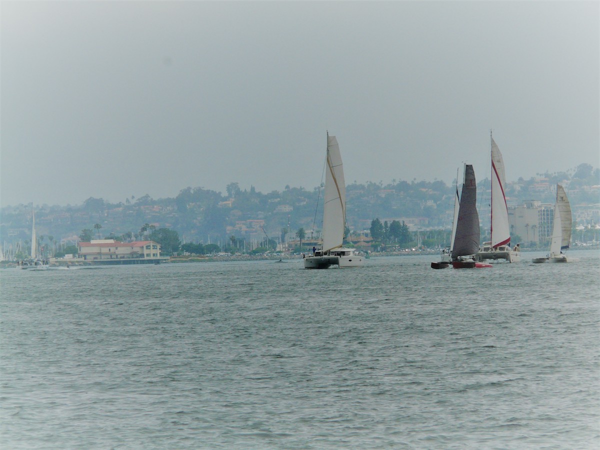 Sailing home