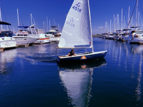 Reality Sailing's Lido 14