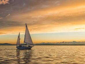 Summer Sailing