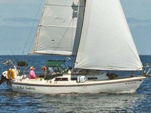 A Catalina 27 is nice at anchor or under sail. © 2022 Willful Simplicity