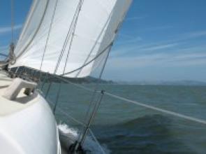 Collected quotes, anecodetes and short notes from Summer Sailstice participants