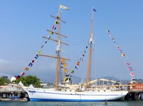 Sail the Bay on Summer Sailstice