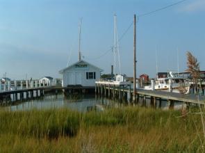 Sprioll winner sails Tangier Island