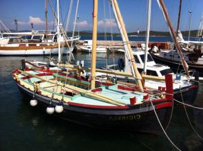 Croatian Students' Sail Traditional Boats on Summer Sailstice