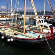 Croatian Students' Sail Traditional Boats on Summer Sailstice